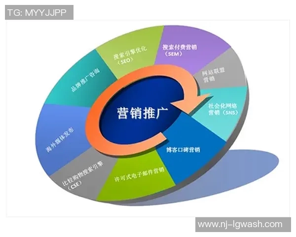 深入分析重庆乒乓球队的运营策略与发展模式探讨